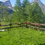 Il Pino *