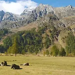 Il Pino *