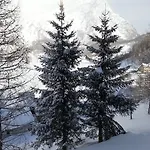 Il Pino Alpe Devero