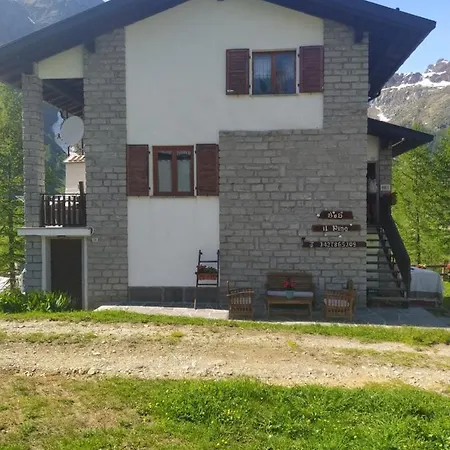 Il Pino *