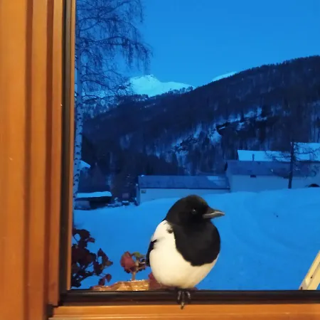 Il Pino Alojamento de Acomodação e Pequeno-almoço *