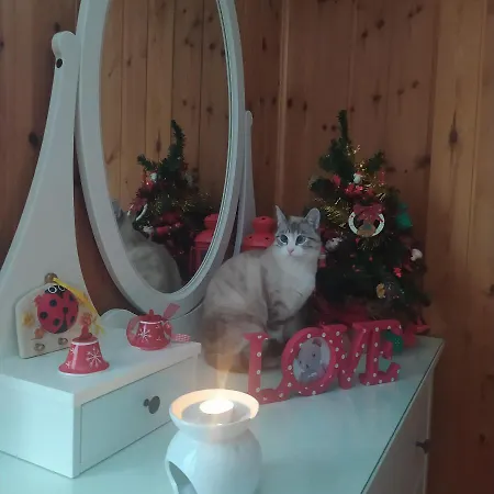 Il Pino Alojamento de Acomodação e Pequeno-almoço Alpe Devero