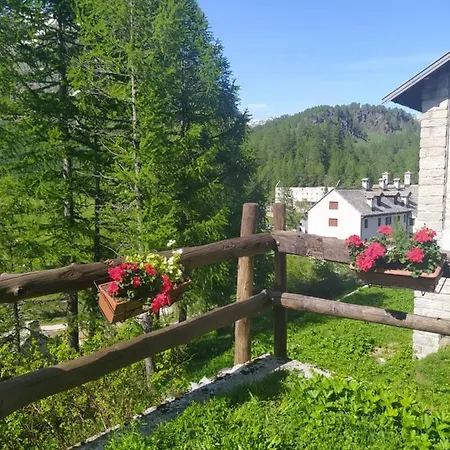 Il Pino * Alpe Devero