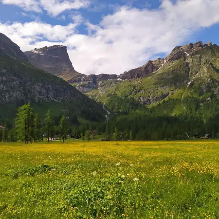 Il Pino Alojamento de Acomodação e Pequeno-almoço