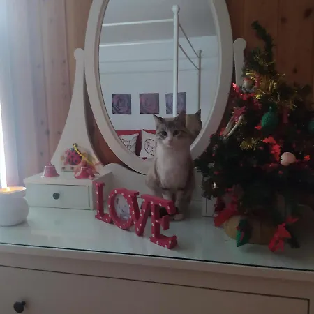 Alojamento de Acomodação e Pequeno-almoço Il Pino