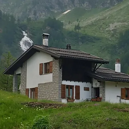 Il Pino *