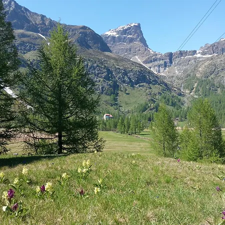Il Pino Nocleg ze śniadaniem Alpe Devero