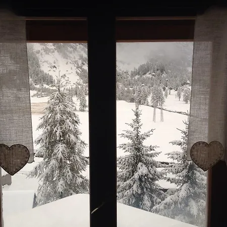 Alojamento de Acomodação e Pequeno-almoço Il Pino *