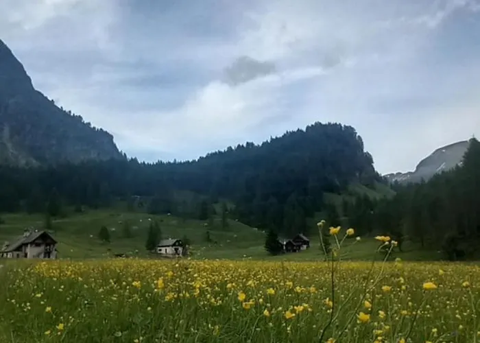 Il Pino Alpe Devero